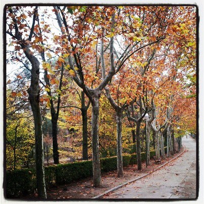 5b915-oto25c325b1o123