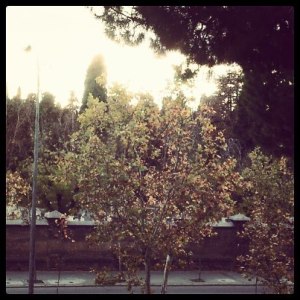 d7cc2-oto25c325b1o122